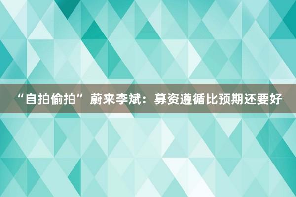 “自拍偷拍” 蔚来李斌：募资遵循比预期还要好
