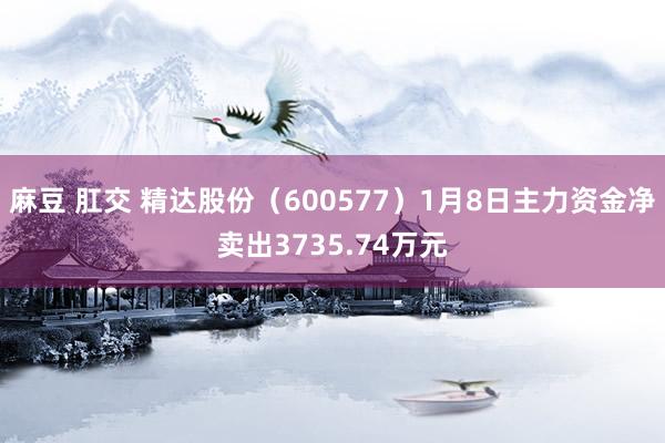 麻豆 肛交 精达股份（600577）1月8日主力资金净卖出3735.74万元