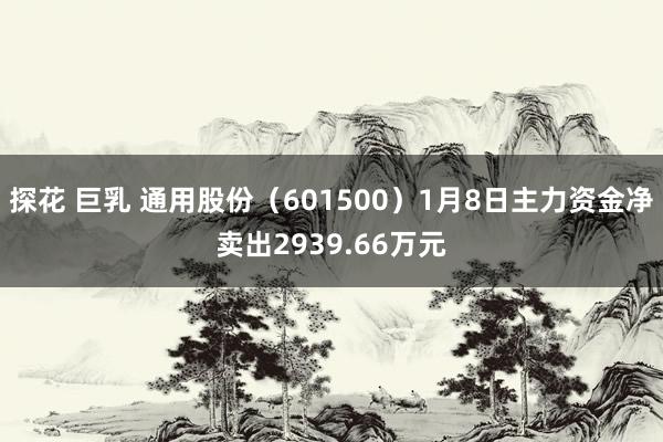 探花 巨乳 通用股份（601500）1月8日主力资金净卖出2939.66万元