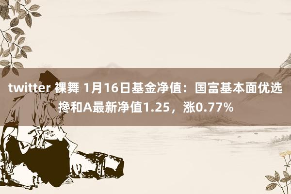twitter 裸舞 1月16日基金净值：国富基本面优选搀和A最新净值1.25，涨0.77%