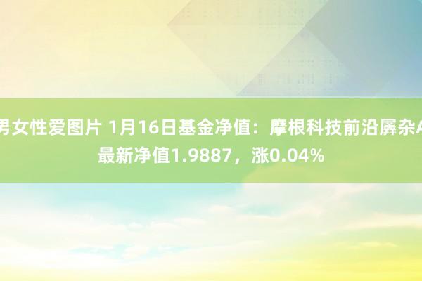 男女性爱图片 1月16日基金净值：摩根科技前沿羼杂A最新净值1.9887，涨0.04%