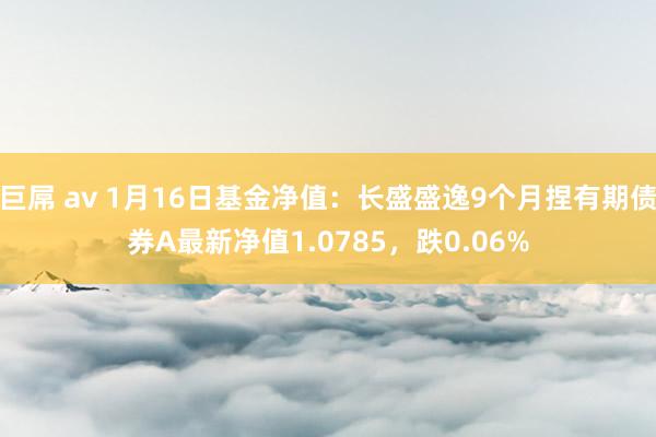 巨屌 av 1月16日基金净值：长盛盛逸9个月捏有期债券A最新净值1.0785，跌0.06%