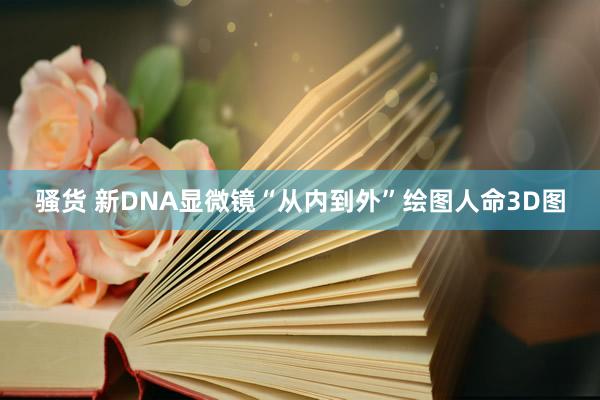 骚货 新DNA显微镜“从内到外”绘图人命3D图