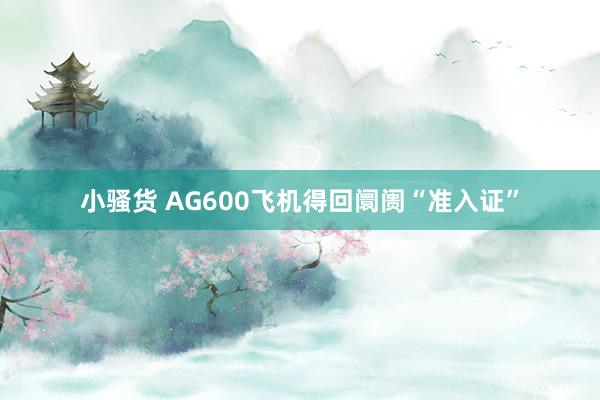 小骚货 AG600飞机得回阛阓“准入证”