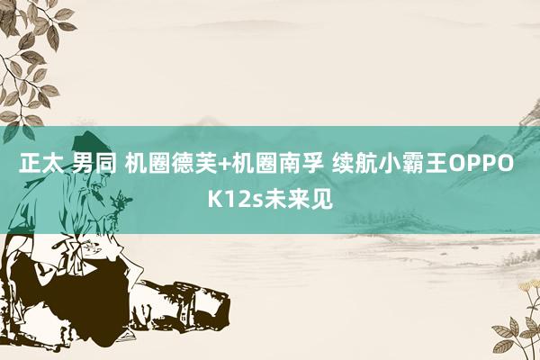 正太 男同 机圈德芙+机圈南孚 续航小霸王OPPO K12s未来见