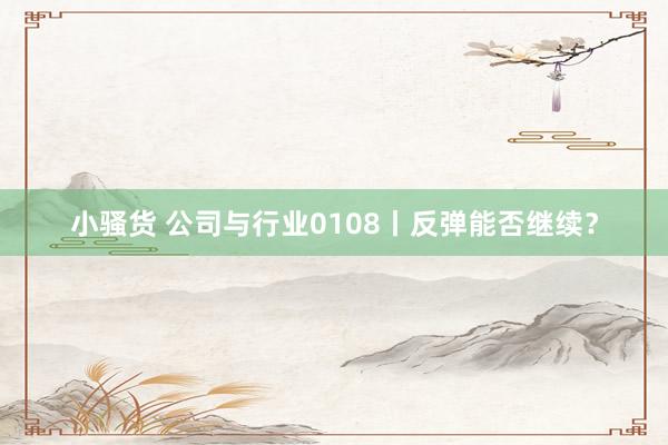小骚货 公司与行业0108丨反弹能否继续？