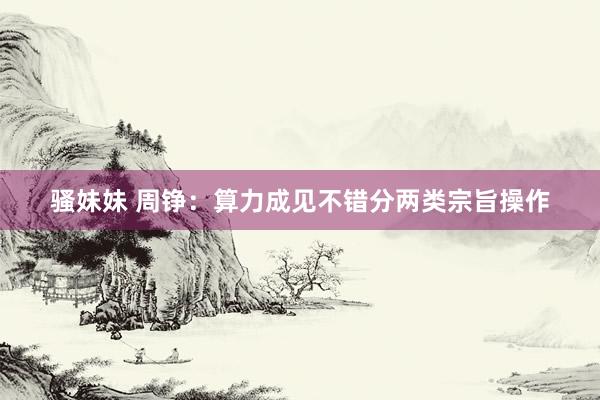 骚妹妹 周铮:算力成见不错分两类宗旨操作