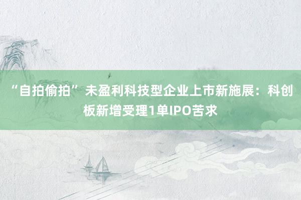 “自拍偷拍” 未盈利科技型企业上市新施展：科创板新增受理1单IPO苦求