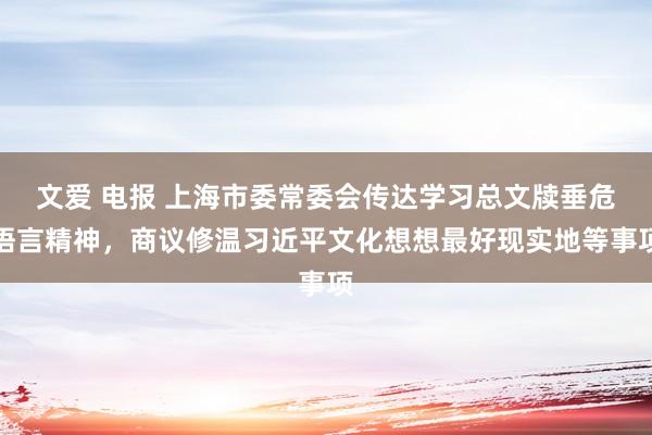 文爱 电报 上海市委常委会传达学习总文牍垂危语言精神，商议修温习近平文化想想最好现实地等事项