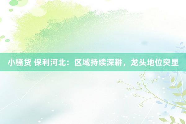小骚货 保利河北：区域持续深耕，龙头地位突显
