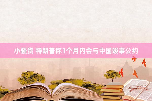 小骚货 特朗普称1个月内会与中国竣事公约