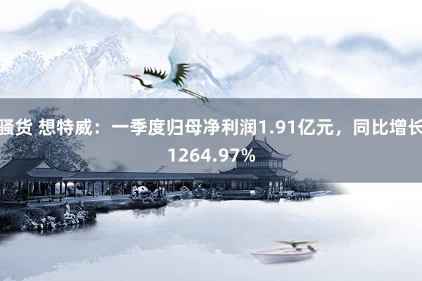 骚货 想特威：一季度归母净利润1.91亿元，同比增长1264.97%