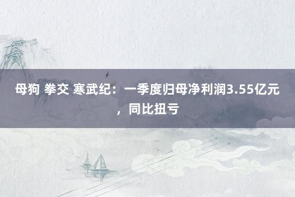母狗 拳交 寒武纪：一季度归母净利润3.55亿元，同比扭亏