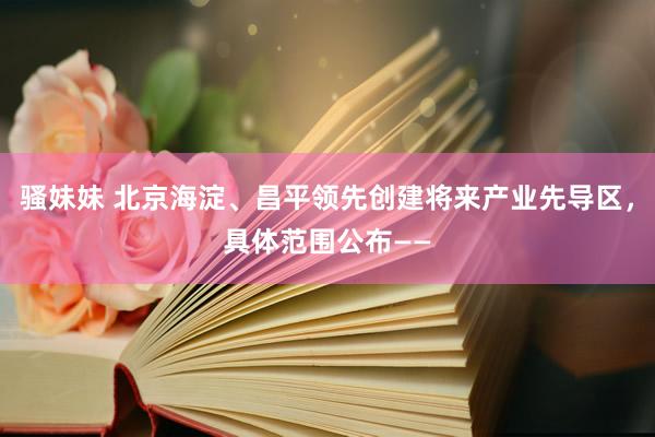骚妹妹 北京海淀、昌平领先创建将来产业先导区，具体范围公布——