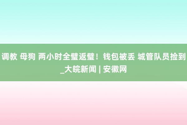 调教 母狗 两小时全璧返璧！钱包被丢 城管队员捡到_大皖新闻 | 安徽网