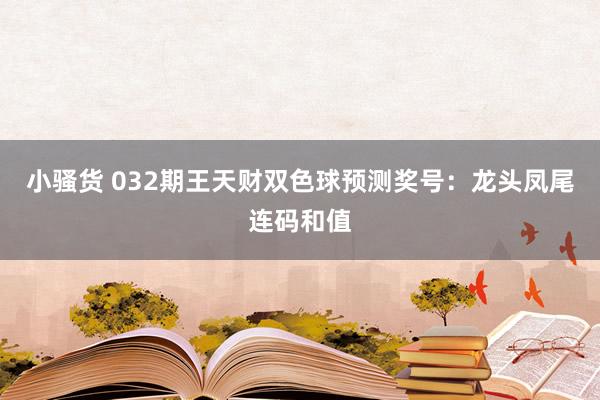 小骚货 032期王天财双色球预测奖号：龙头凤尾连码和值