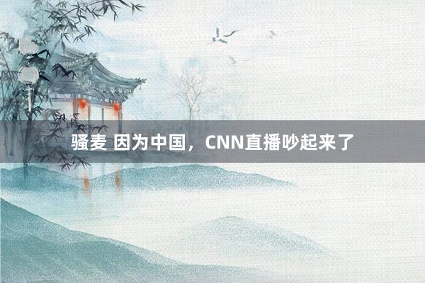 骚麦 因为中国，CNN直播吵起来了
