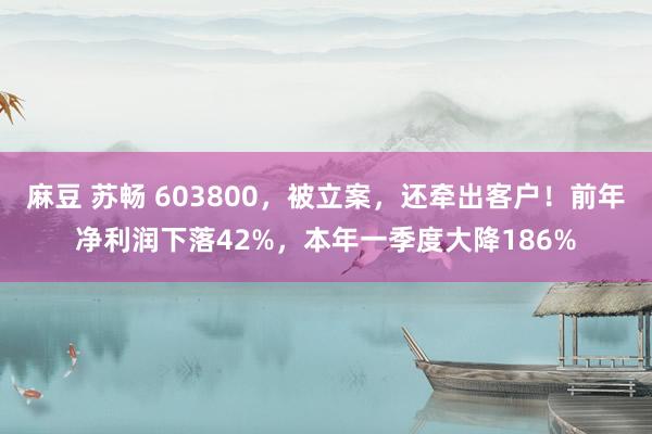 麻豆 苏畅 603800，被立案，还牵出客户！前年净利润下落42%，本年一季度大降186%