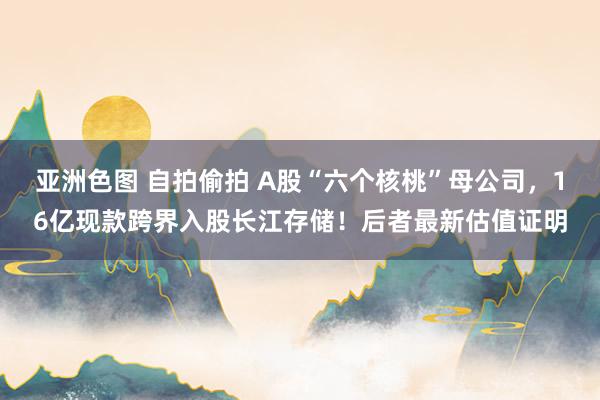 亚洲色图 自拍偷拍 A股“六个核桃”母公司，16亿现款跨界入股长江存储！后者最新估值证明